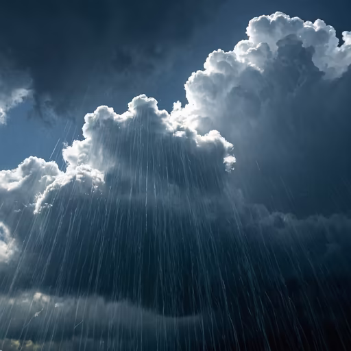 Rainy Day