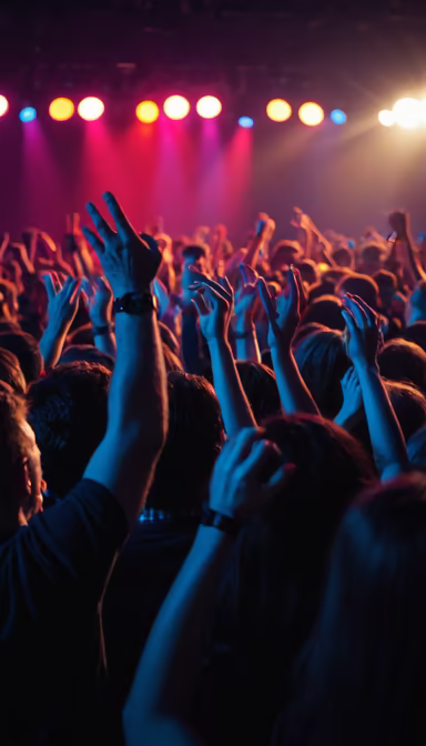 Concert Vibes Concert Vibes