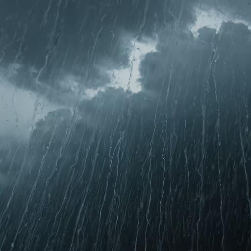 Rainy Day Mood