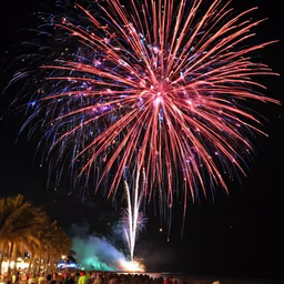 Night Sky Celebration Night Sky Celebration