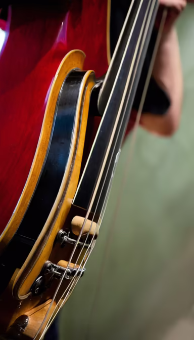 Upright Bass Details Upright Bass Details