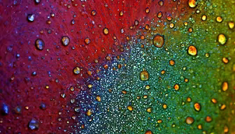 Chromatic Droplets