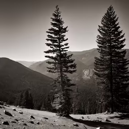 Mountain Majesty Mountain Majesty