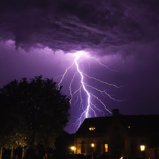 Electric Night