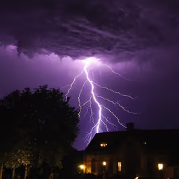 Electric Night Electric Night