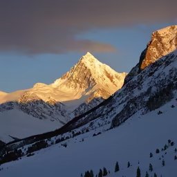 Alpine Majesty Alpine Majesty