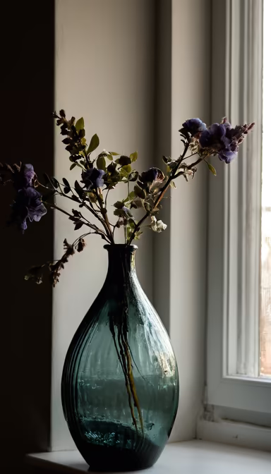 Window Still Life Window Still Life