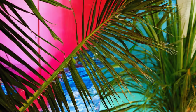 Tropical Vibes
