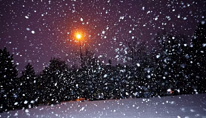 Winter's Embrace