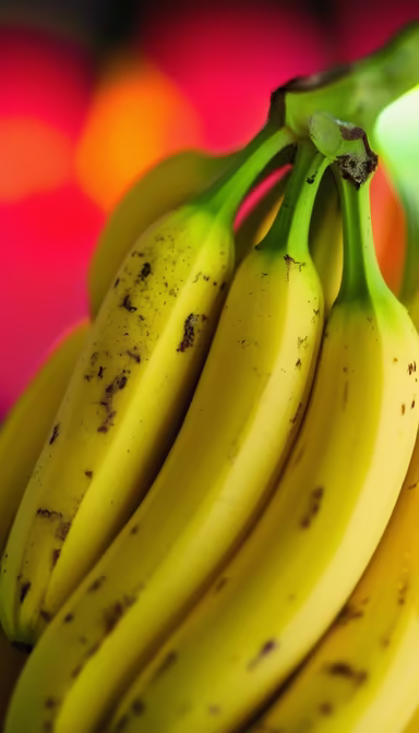 Bunch of Bananas Bunch of Bananas