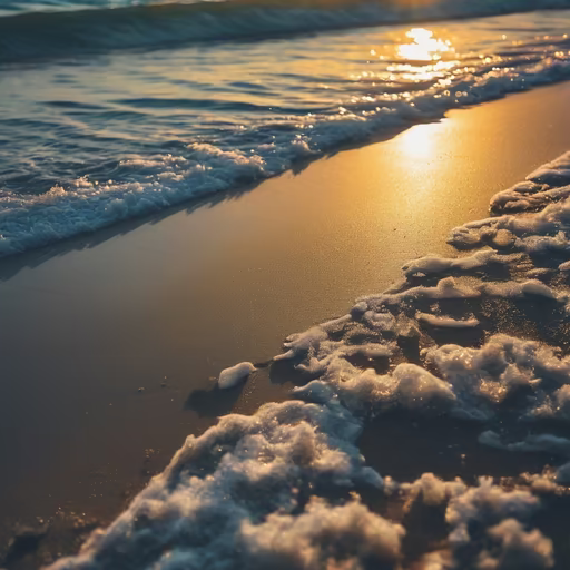 Golden Shores