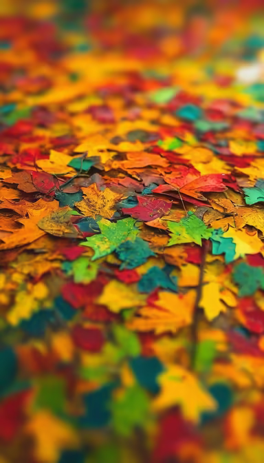 Autumn Carpet