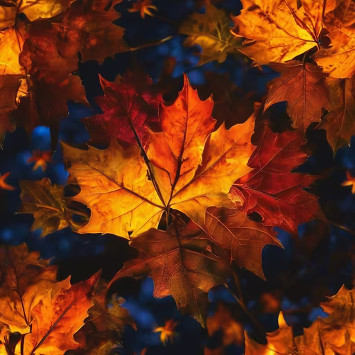Autumnal Splendor