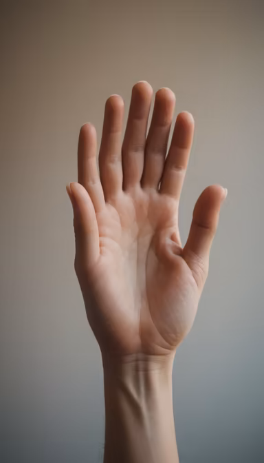 Open Palm Open Palm