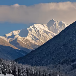 Winter Majesty Winter Majesty