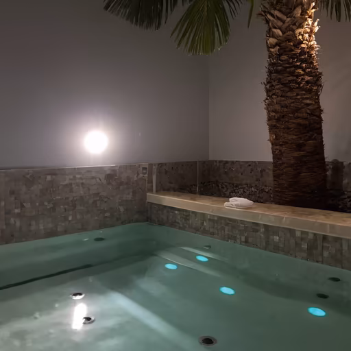 Tropical Oasis