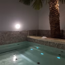 Tropical Oasis Tropical Oasis