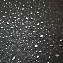Raindrops