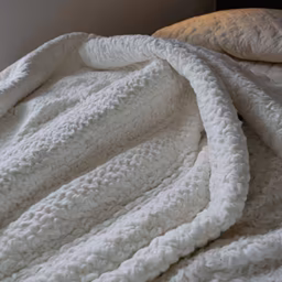 Cozy Comfort Cozy Comfort