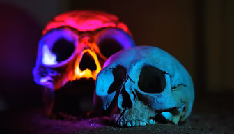 Skulls in Neon Skulls in Neon