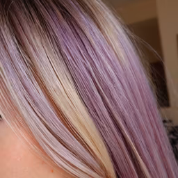 Lavender Haze Lavender Haze