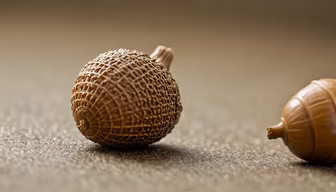 Tiny Treasures
