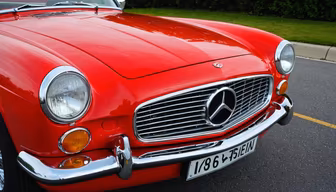 Classic Beauty
