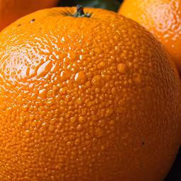 Fresh Citrus Fresh Citrus