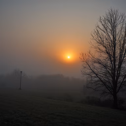 Misty Morning