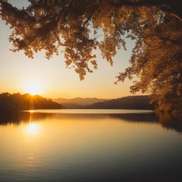 Golden Hour Serenity