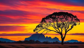 African Sunset African Sunset