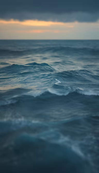 Ocean's Embrace Ocean's Embrace