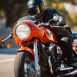 Riding Free Riding Free