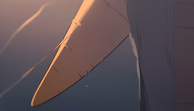 Sunset Flight