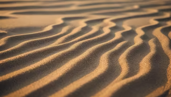 Desert Waves Desert Waves