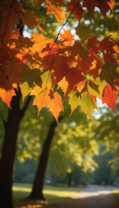 Autumn's Embrace