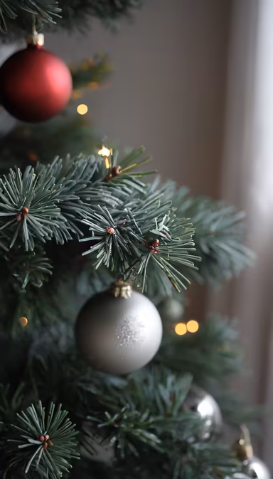 Holiday Cheer Holiday Cheer