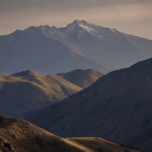 Mountain Majesty