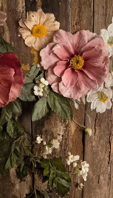Rustic Blooms Rustic Blooms