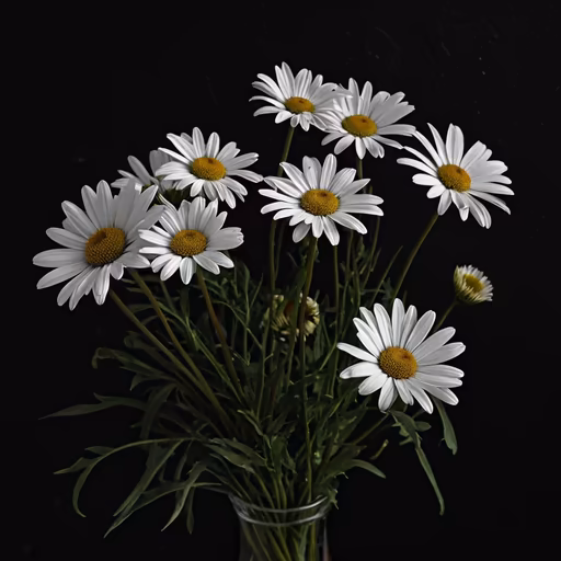 Daisy Delight
