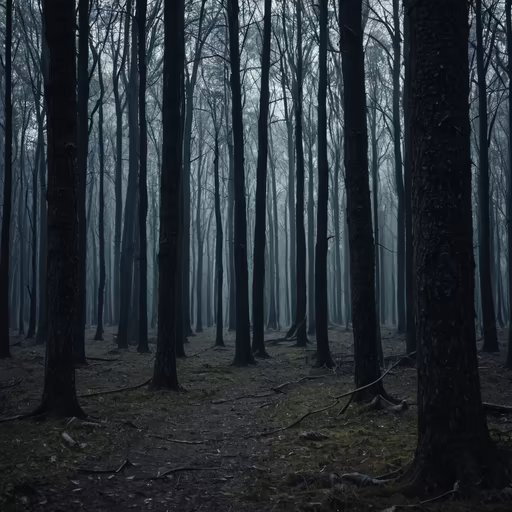 Into the Woods