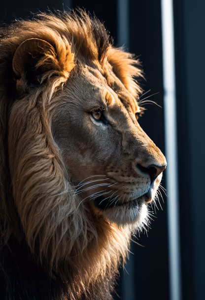 King of Beasts