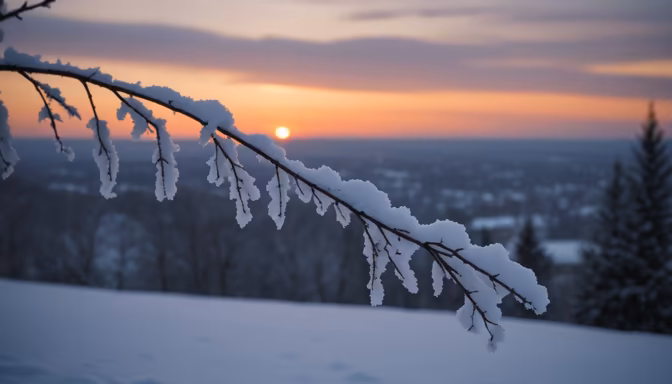 Winter's Embrace