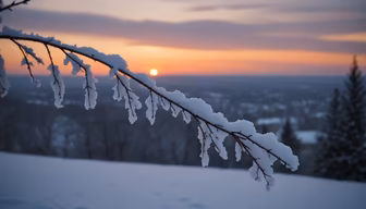Winter's Embrace Winter's Embrace