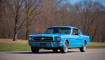 Classic Beauty Classic Beauty