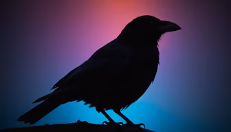 Midnight Raven Midnight Raven
