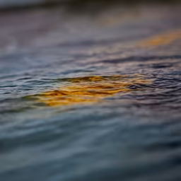 Golden Hour Waves Golden Hour Waves