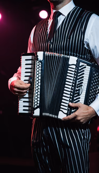 Accordion Vibes Accordion Vibes