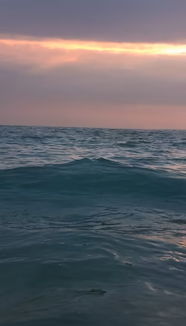 Ocean Serenity