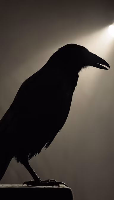 Raven's Shadow Raven's Shadow